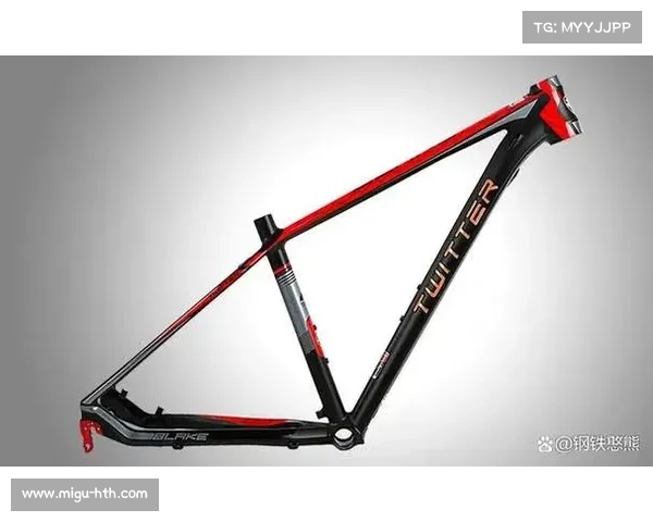 山地自行车装备销量增长，碳纤维车架成市场新宠